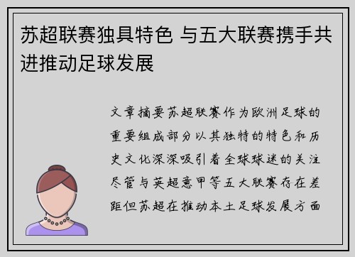 苏超联赛独具特色 与五大联赛携手共进推动足球发展 苏超联赛独具特色 与五大联赛携手共进推动足球发展